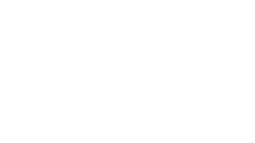 D4motion logo